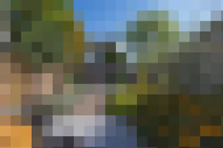 Rivièrahof 3 Nederhorst den Berg thumbnail 40