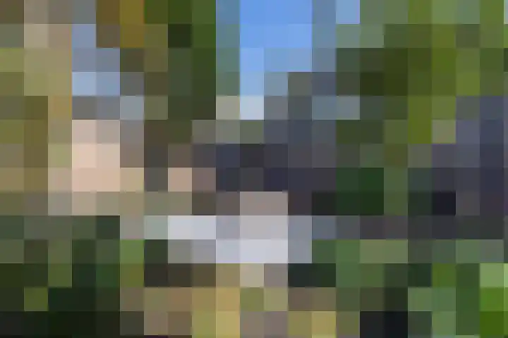 Rivièrahof 3 Nederhorst den Berg thumbnail 41