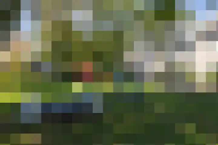 Rivièrahof 3 Nederhorst den Berg thumbnail 45