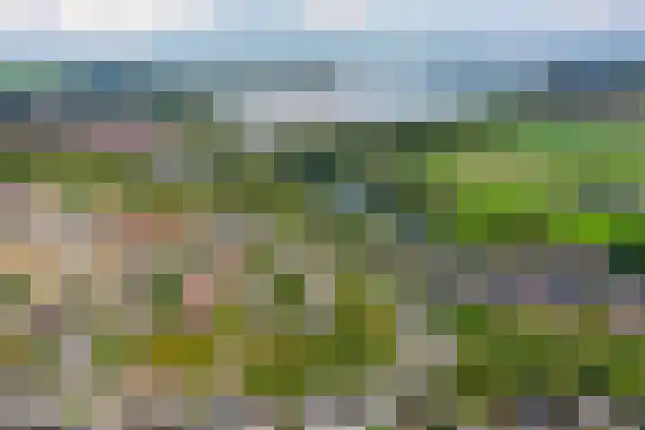 Rivièrahof 3 Nederhorst den Berg thumbnail 46