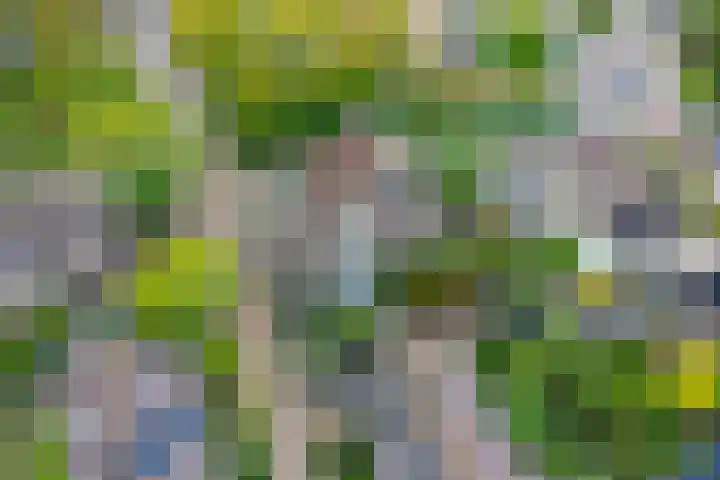 Rivièrahof 3 Nederhorst den Berg thumbnail 47
