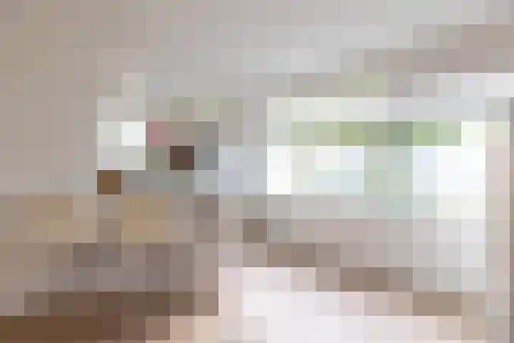 Rivièrahof 3 Nederhorst den Berg thumbnail 9