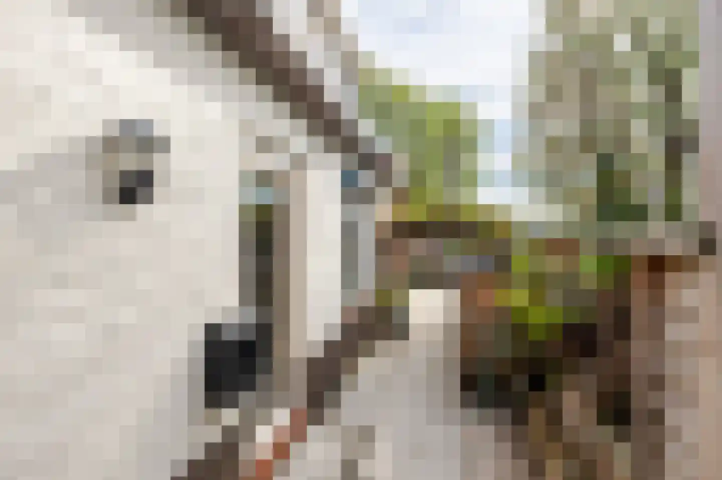 Rivierdijk 100 Sliedrecht thumbnail 10