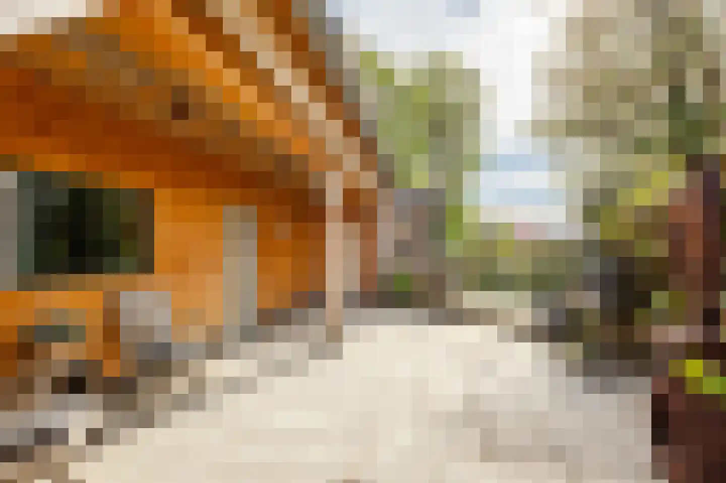 Rivierdijk 100 Sliedrecht thumbnail 11