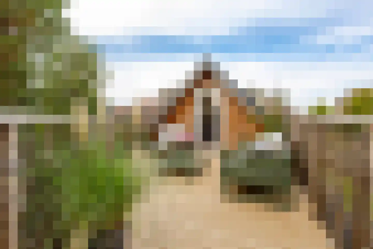 Rivierdijk 100 Sliedrecht thumbnail 29