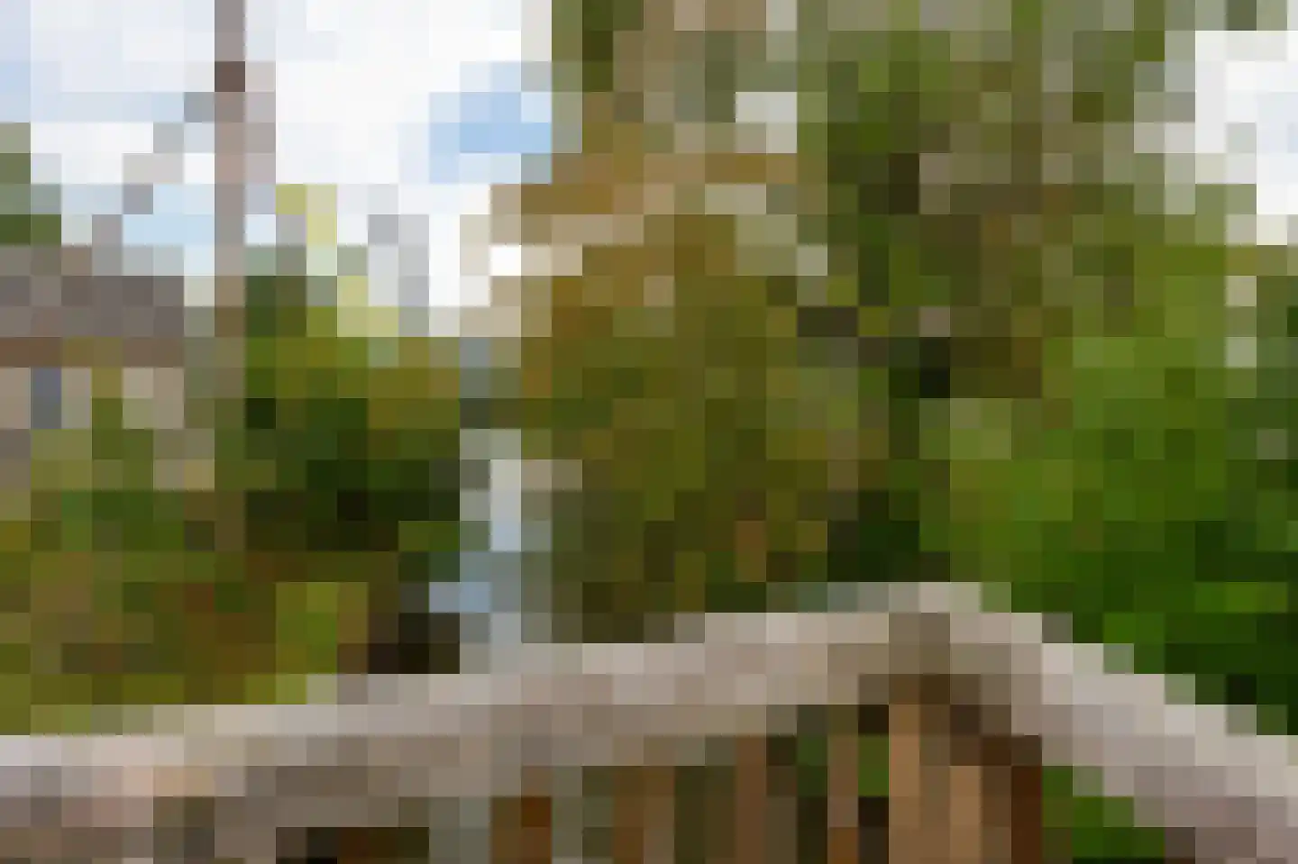 Rivierdijk 100 Sliedrecht thumbnail 5