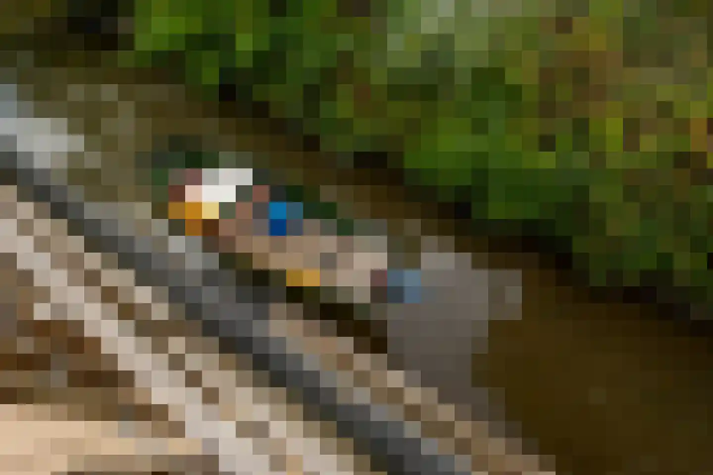 Rivierdijk 100 Sliedrecht thumbnail 6