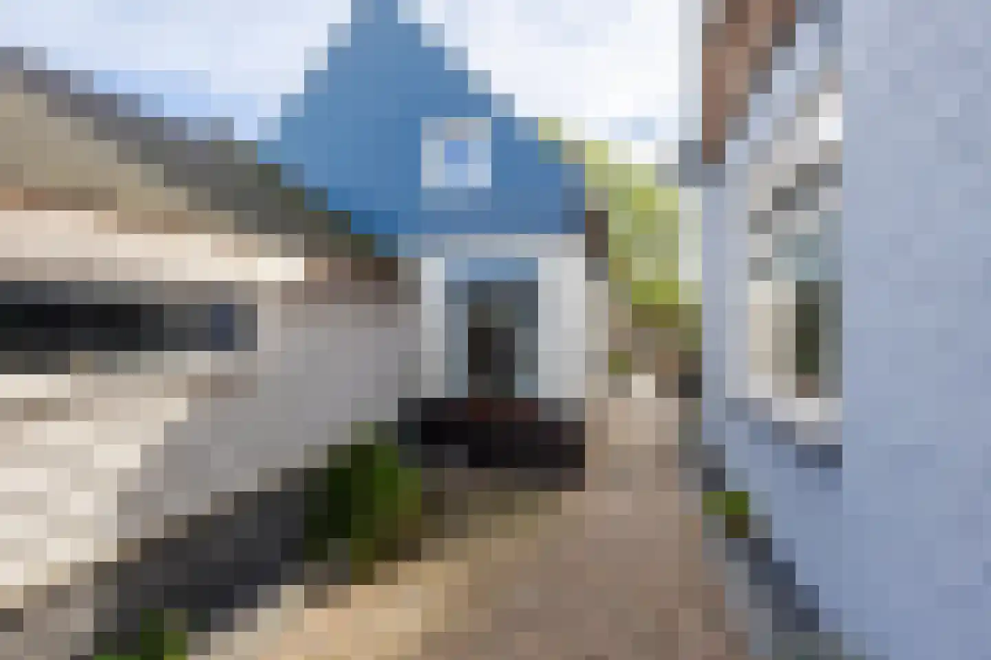 Rivierdijk 100 Sliedrecht thumbnail 9