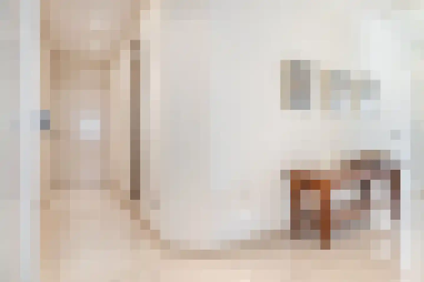 Rivierdijk 199 Hardinxveld-Giessendam thumbnail 8