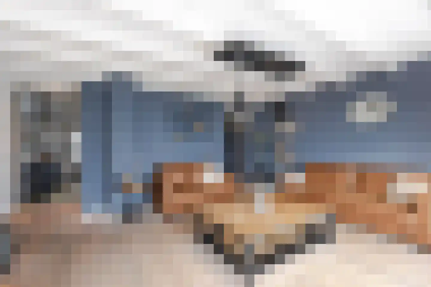 Rivierdijk 255 Hardinxveld-Giessendam thumbnail 19