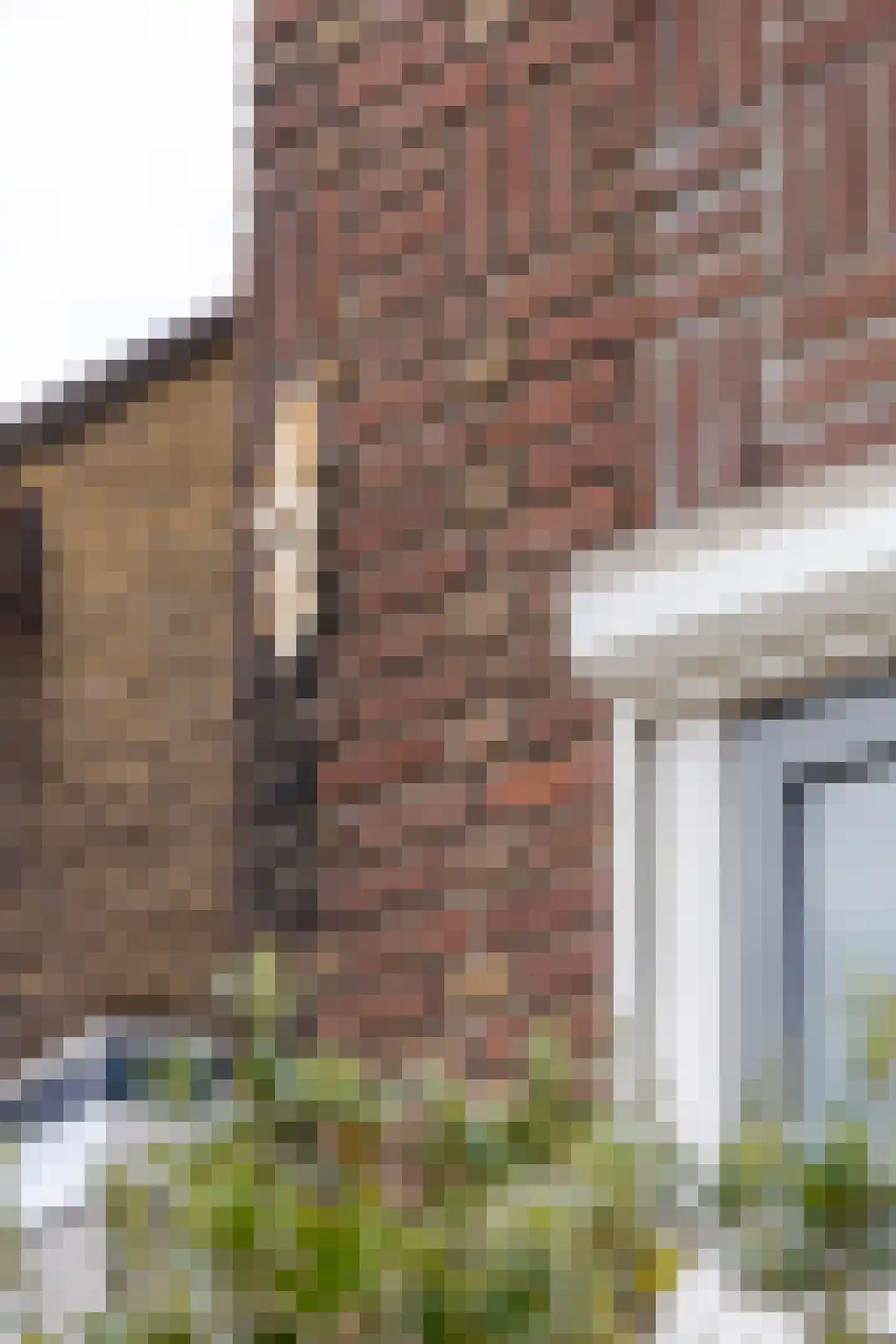 Rivierdijk 255 Hardinxveld-Giessendam thumbnail 49