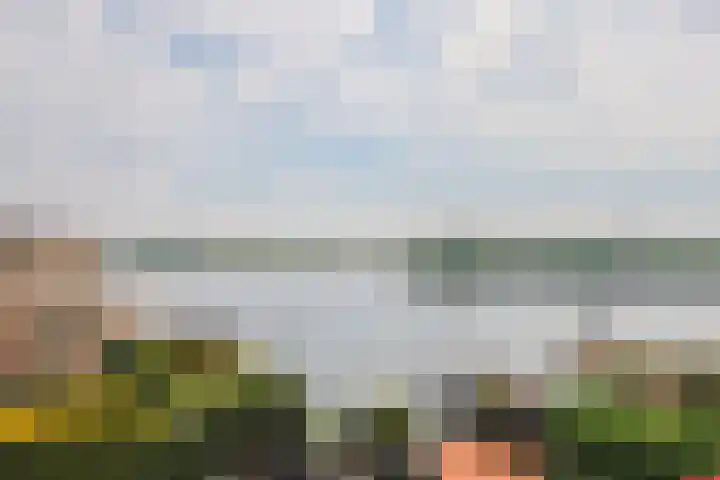 Rivierdijk 32 Sliedrecht thumbnail 24