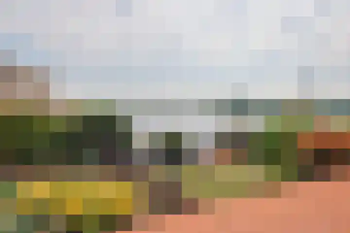Rivierdijk 32 Sliedrecht thumbnail 26
