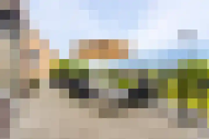 Rivierdijk 39 Hardinxveld-Giessendam thumbnail 35