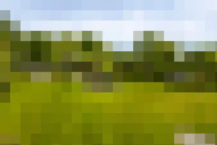 Rivierdijk 39 Hardinxveld-Giessendam thumbnail 45