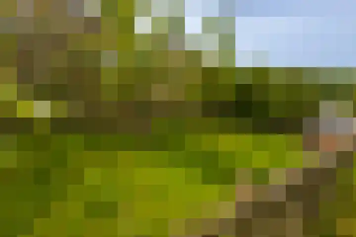 Rivierdijk 39 Hardinxveld-Giessendam thumbnail 47