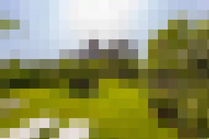 Rivierdijk 39 Hardinxveld-Giessendam thumbnail 51