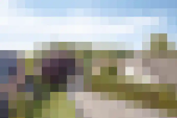 Rivierdijk 504 Hardinxveld-Giessendam thumbnail 48