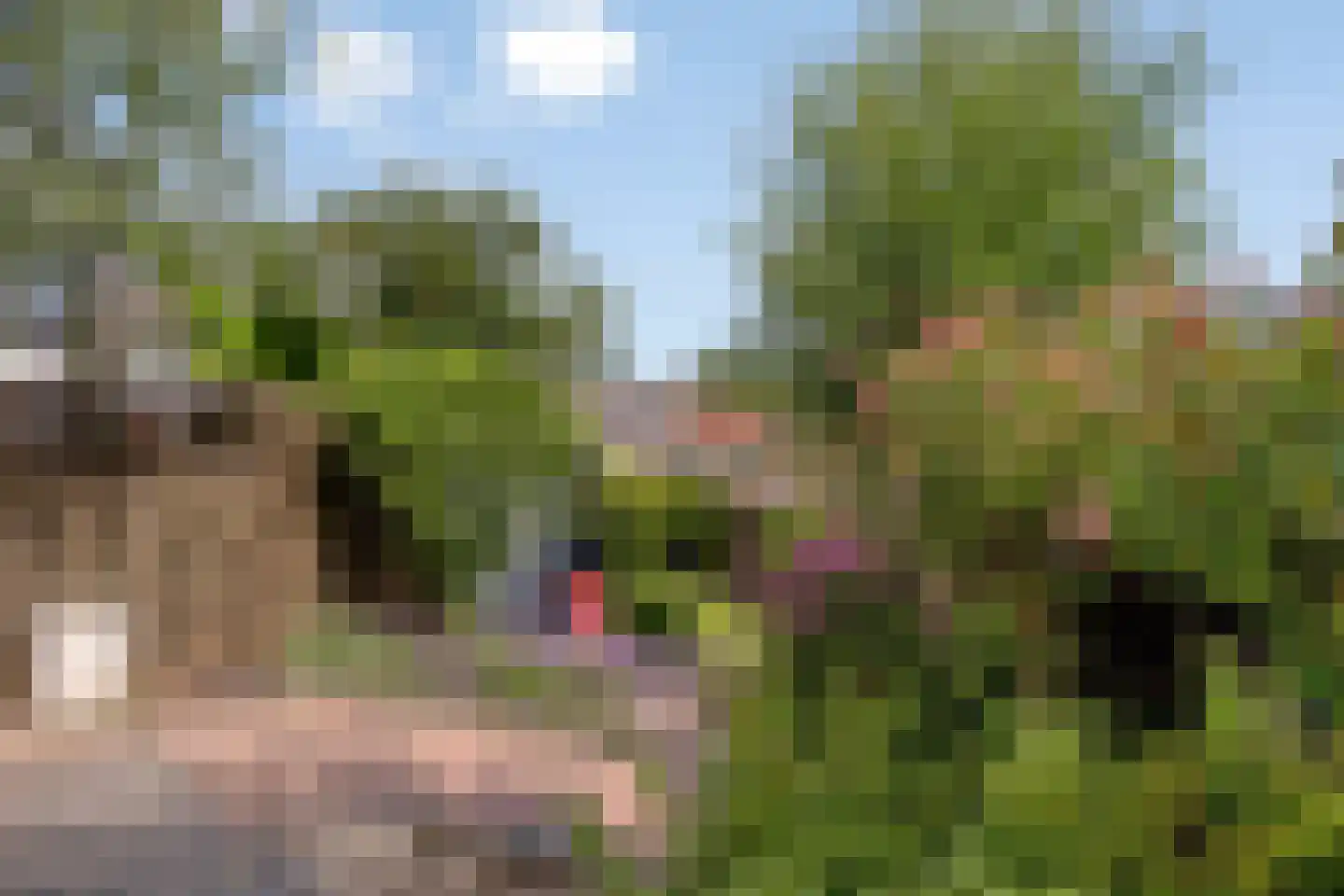Rivierdijk 735 Sliedrecht thumbnail 34