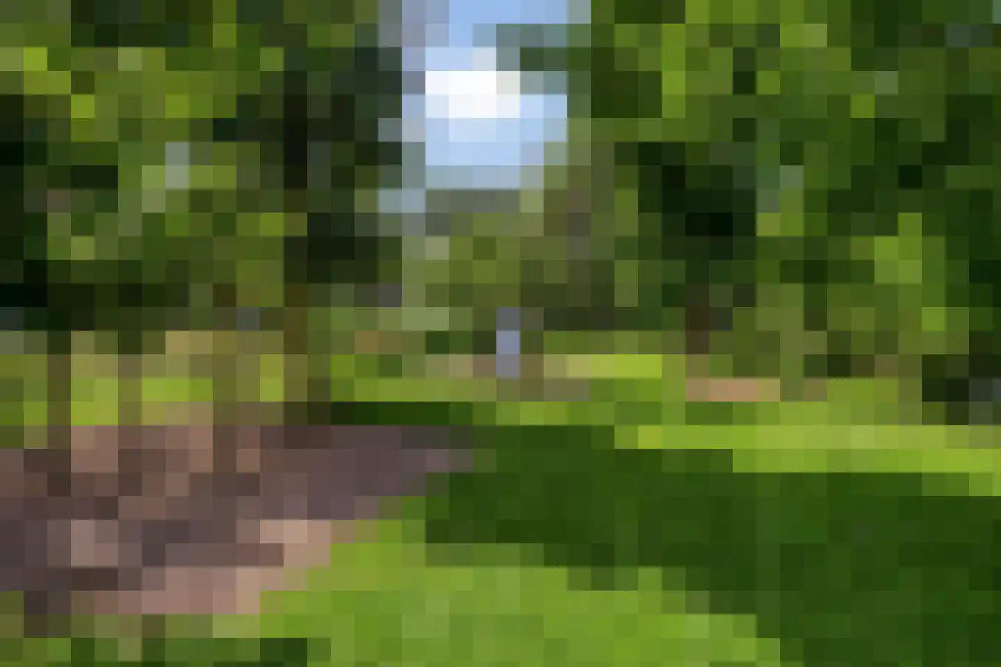 Rivierdijk 735 Sliedrecht thumbnail 42