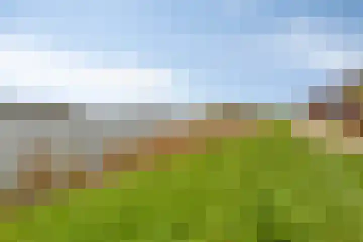 Rivierdijk 796 Hardinxveld-Giessendam thumbnail 31