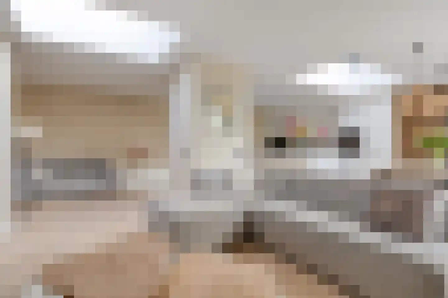 Rivierduin 14 Cuijk thumbnail 10