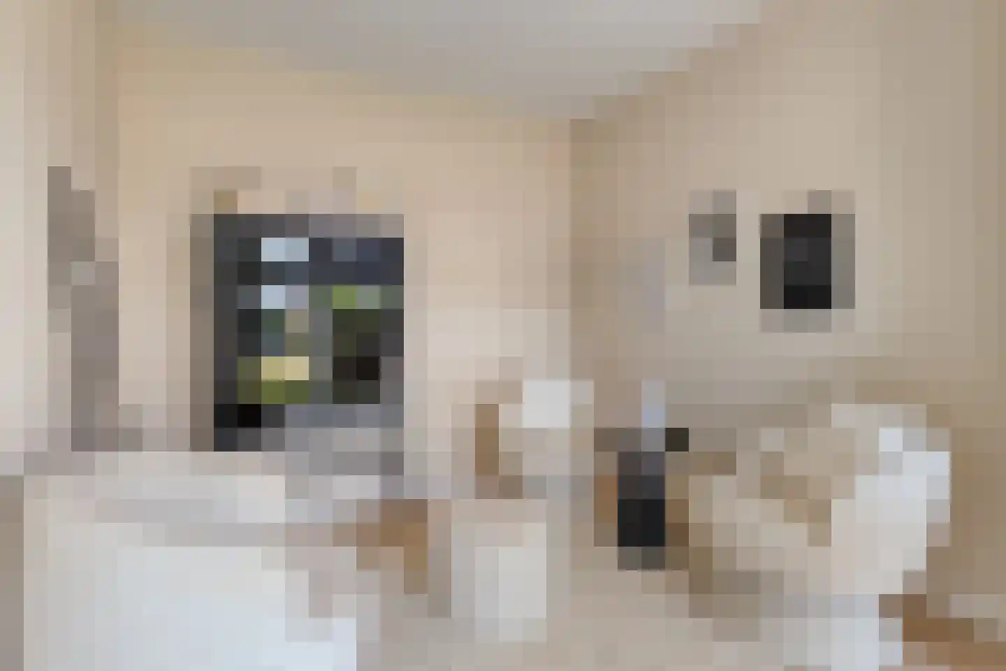 Rivierduin 14 Cuijk thumbnail 18