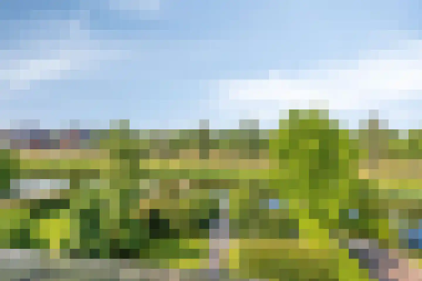 Rivierduin 14 Cuijk thumbnail 32
