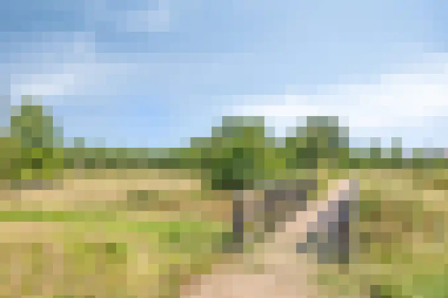 Rivierduin 14 Cuijk thumbnail 41
