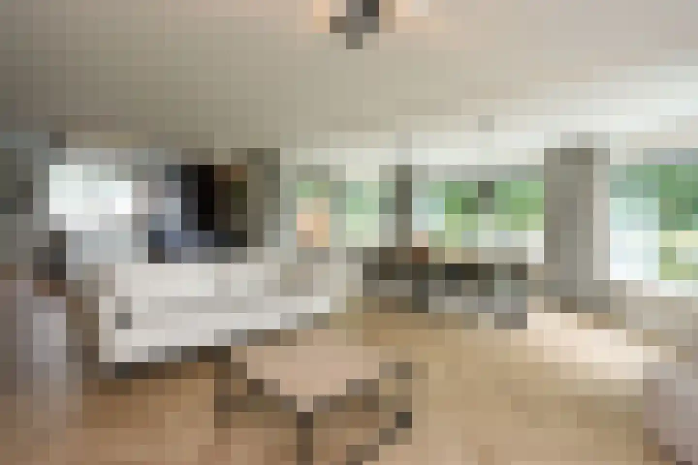 Rivierduinweg 1 Swifterbant thumbnail 9