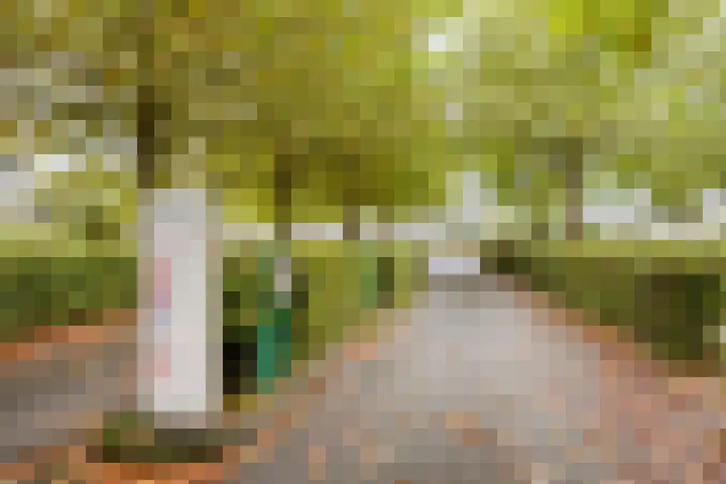 Rivierendal 112 Ochten thumbnail 22