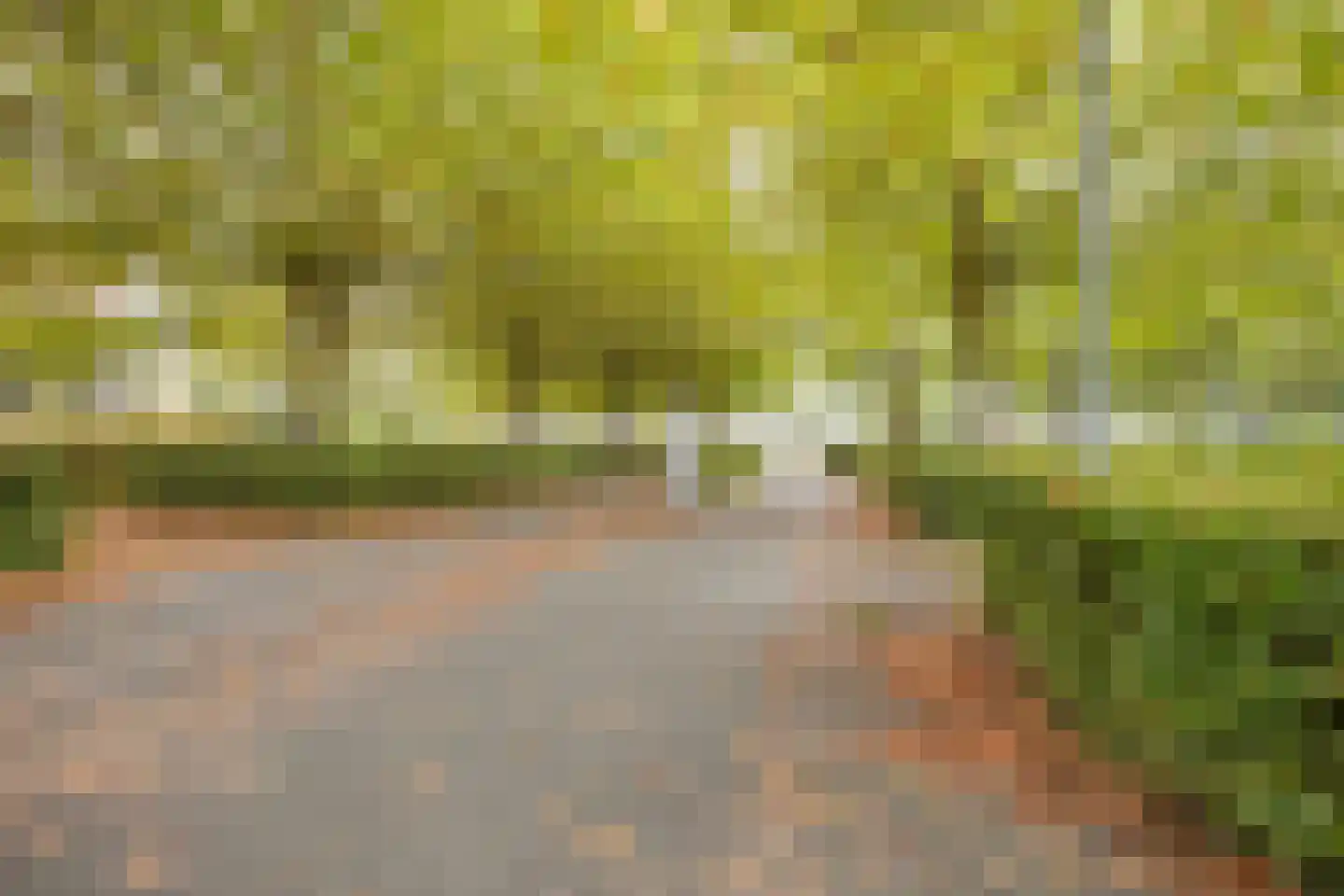 Rivierendal 112 Ochten thumbnail 23