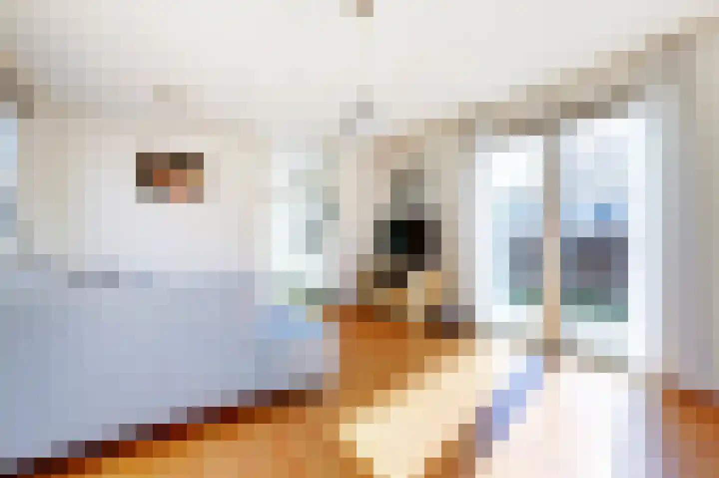 Rivierendal 115 Ochten thumbnail 7