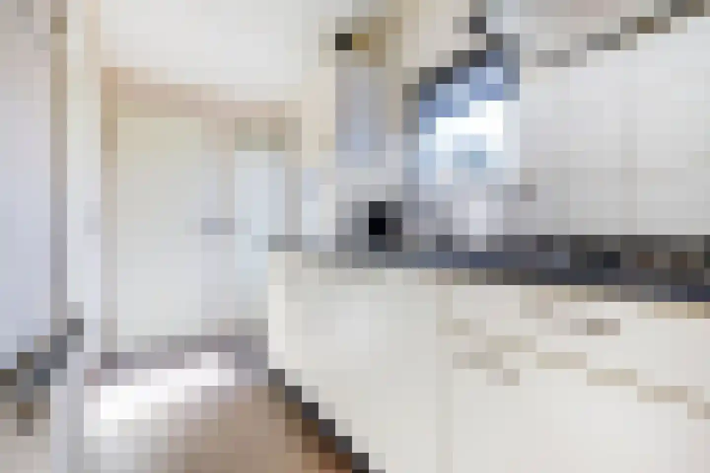 Rivierendal 115 Ochten thumbnail 9