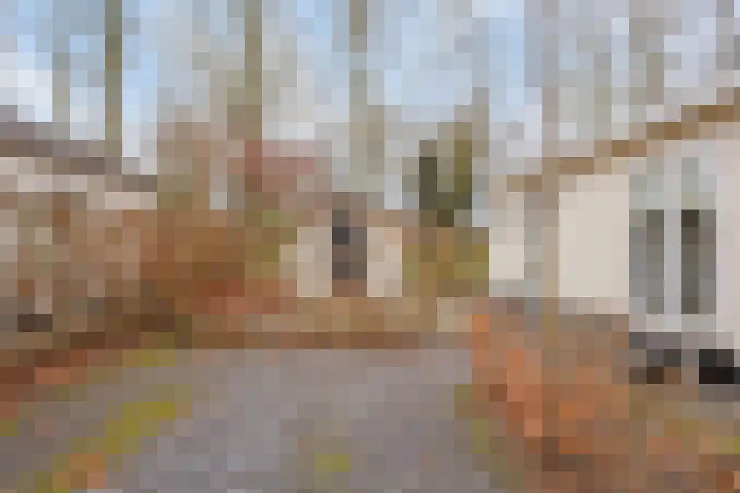 Rivierendal 12 Ochten thumbnail 20