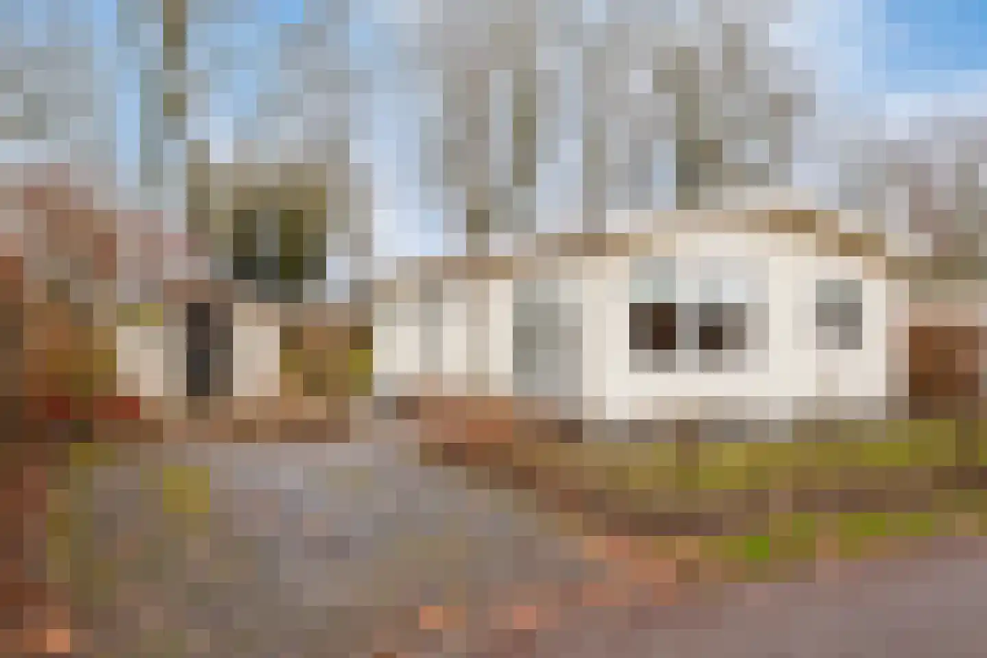 Rivierendal 12 Ochten thumbnail 4