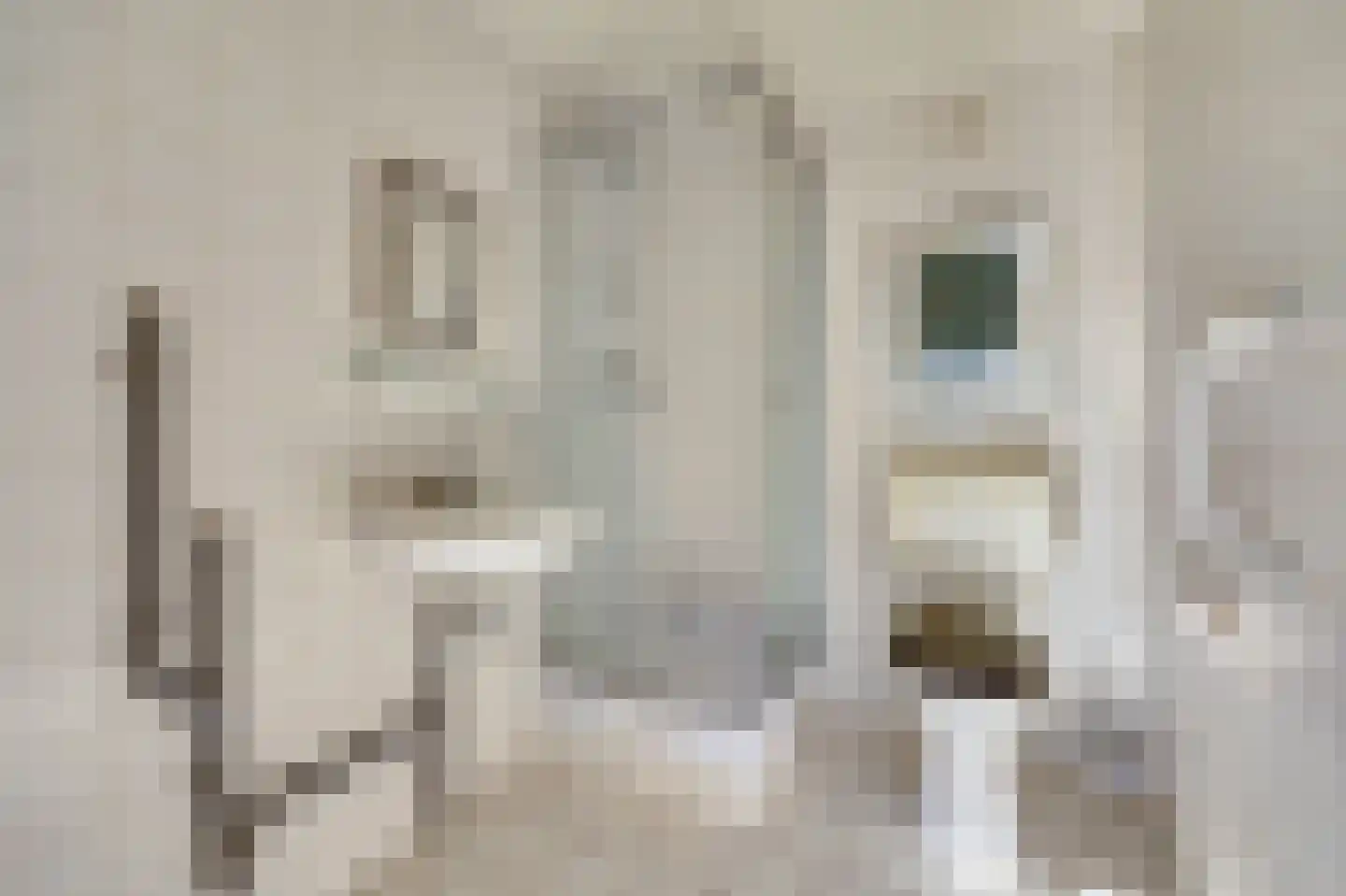 Rivierendal 131 Ochten thumbnail 13