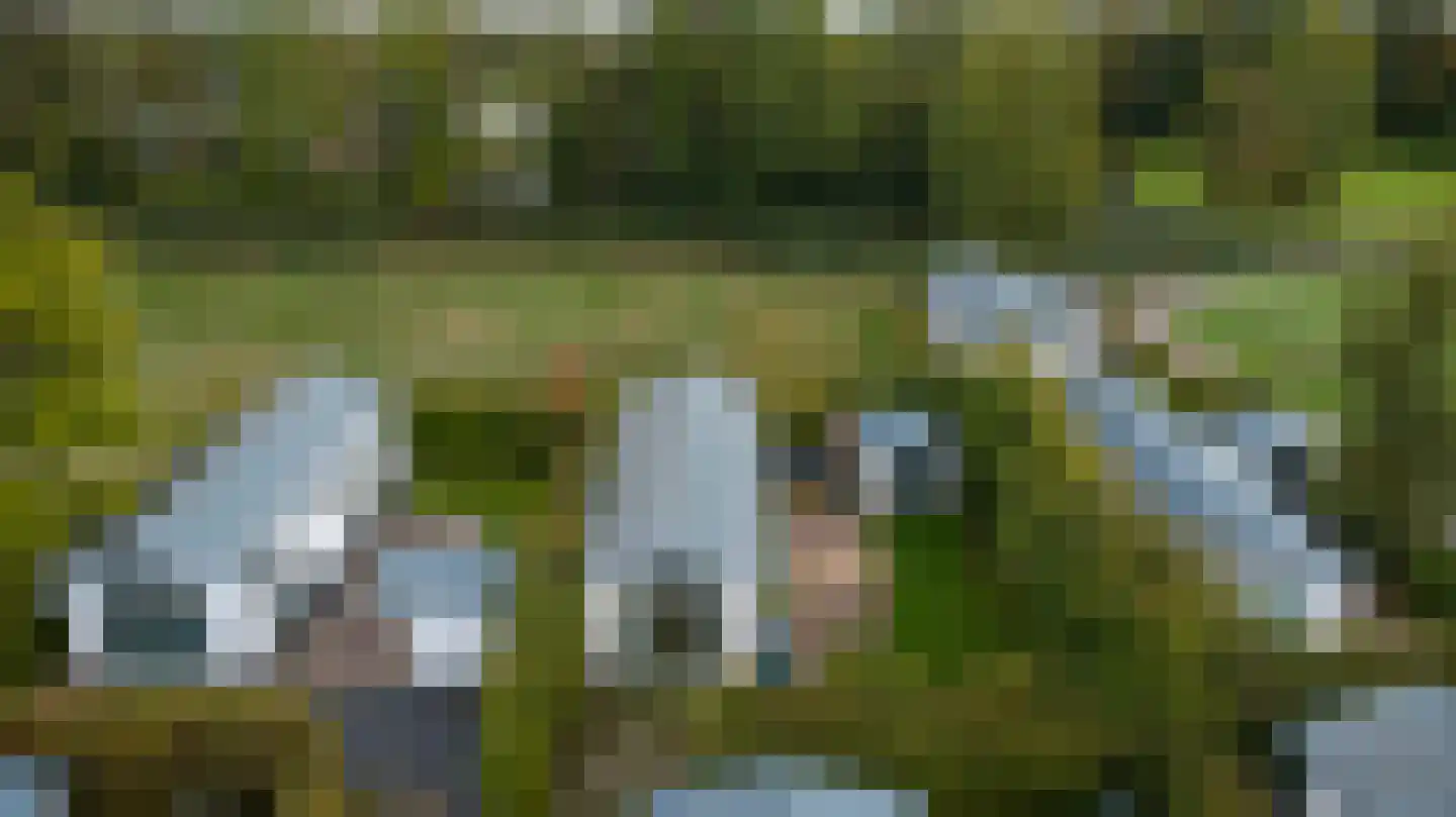 Rivierendal 131 Ochten thumbnail 22