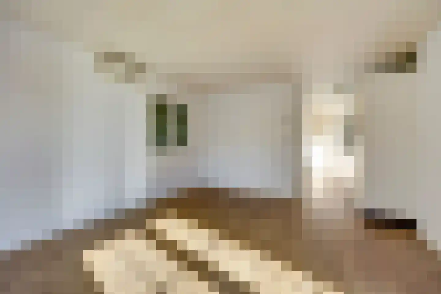 Rivierendal 131 Ochten thumbnail 5
