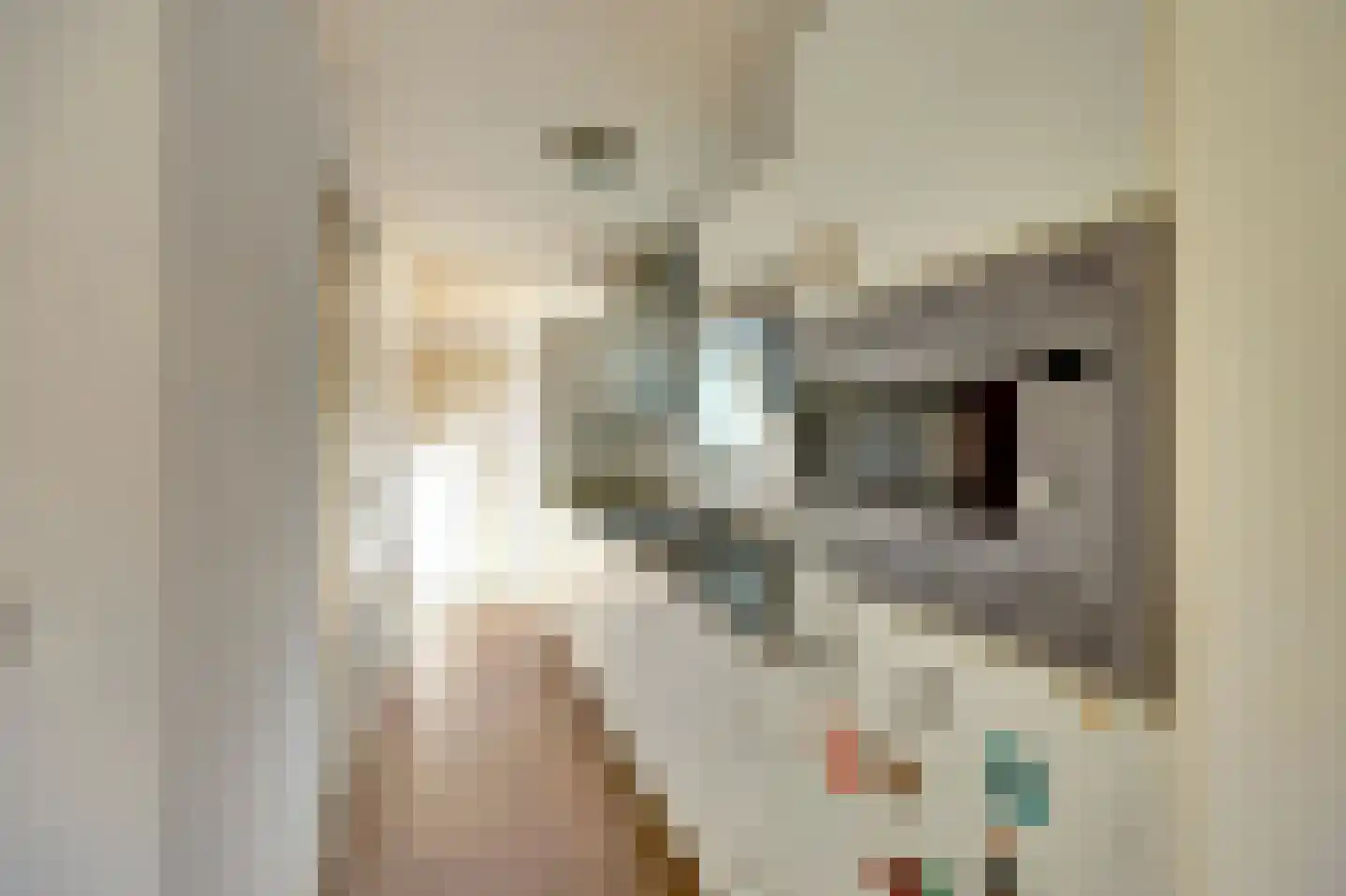 Rivierendal 131 Ochten thumbnail 6