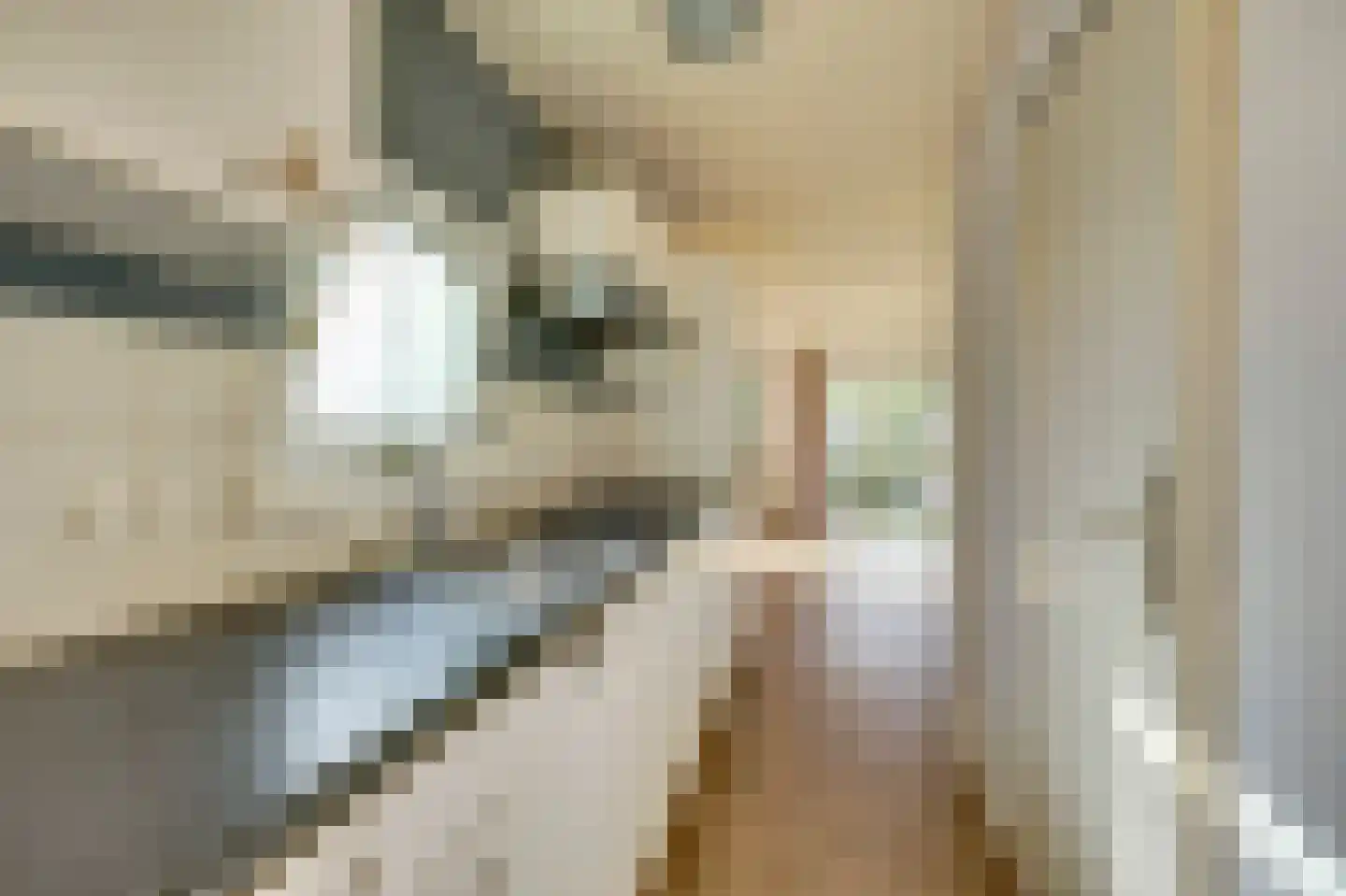 Rivierendal 131 Ochten thumbnail 7