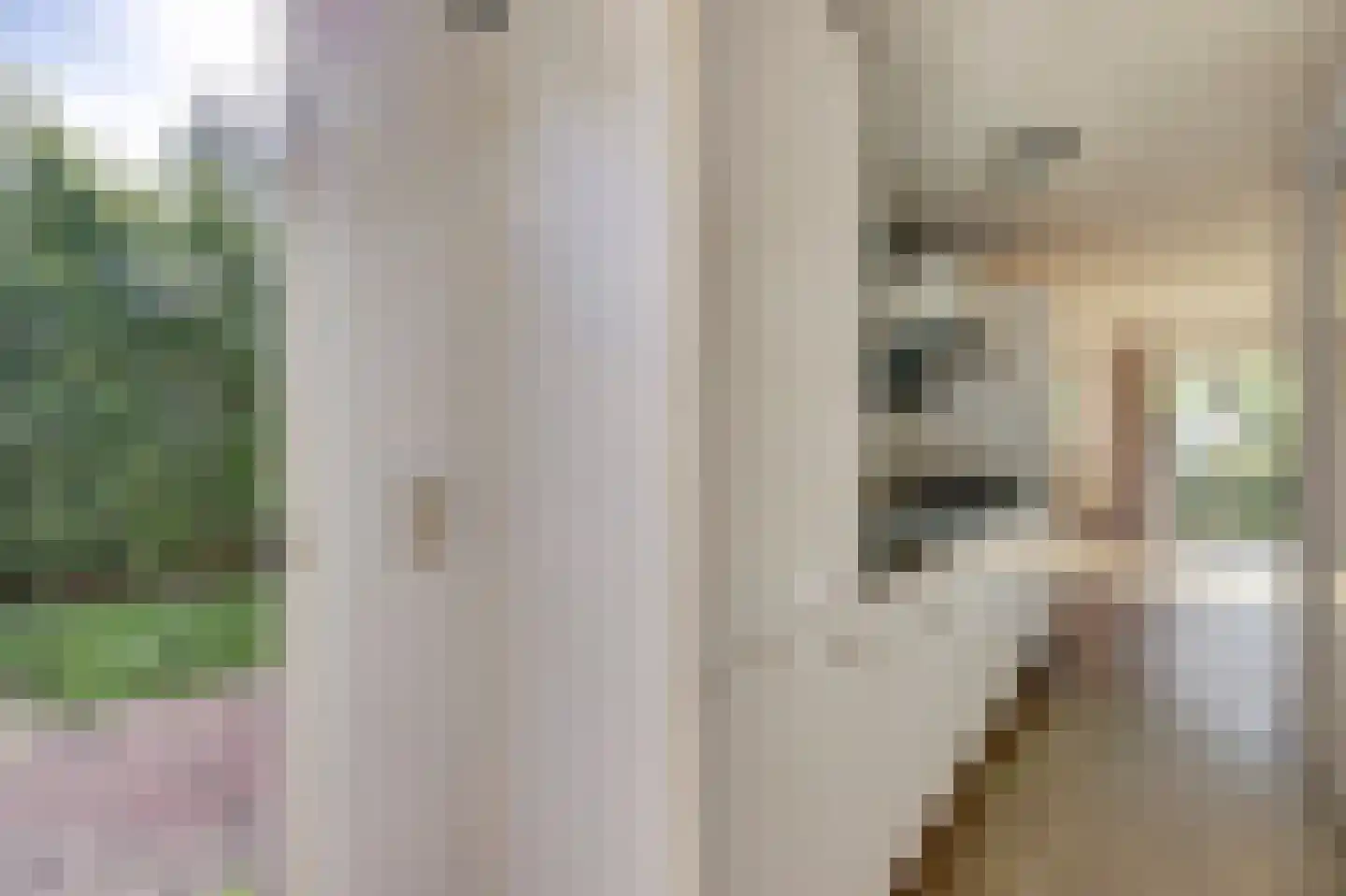Rivierendal 131 Ochten thumbnail 8