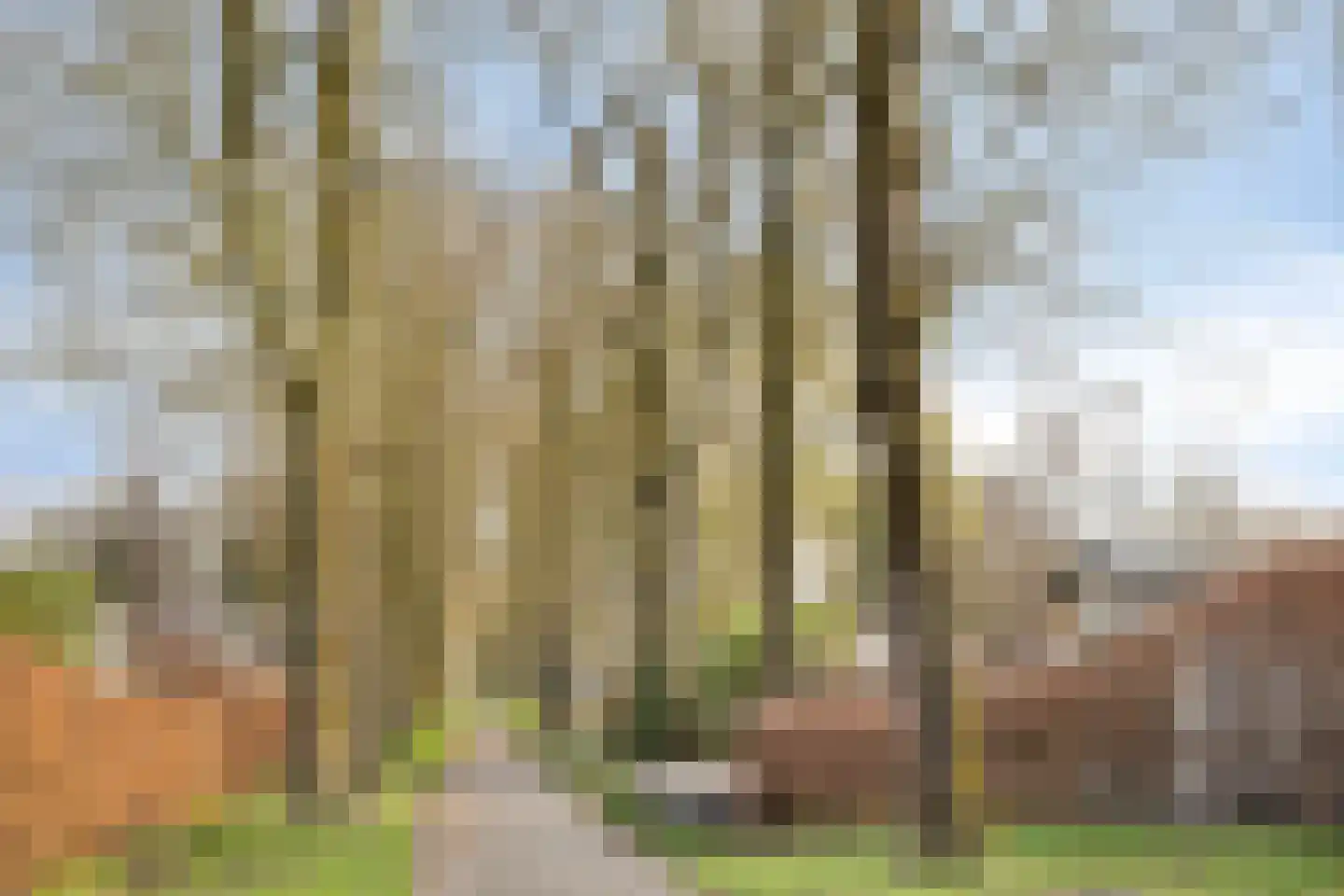 Rivierendal 134 Ochten thumbnail 15