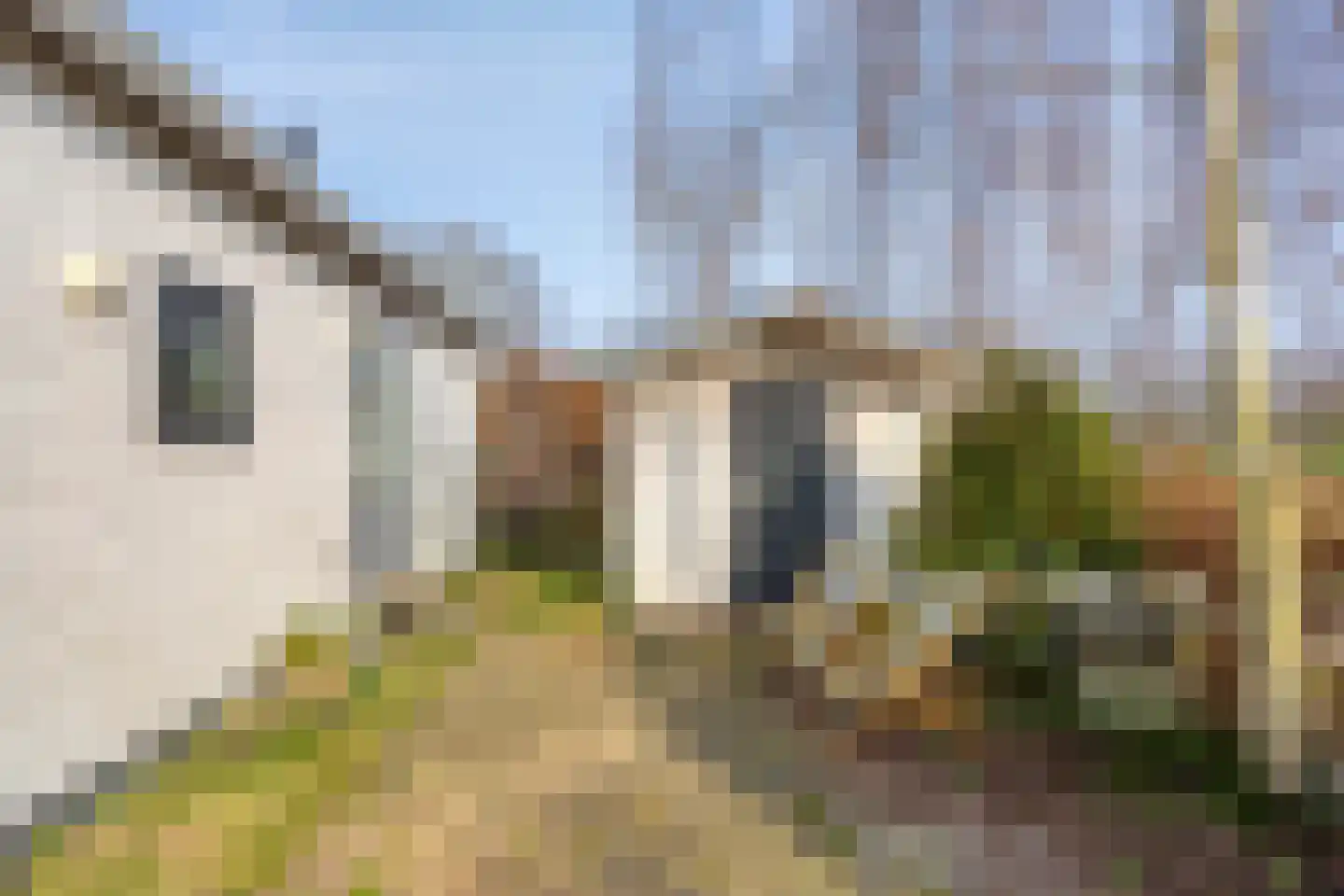 Rivierendal 134 Ochten thumbnail 20