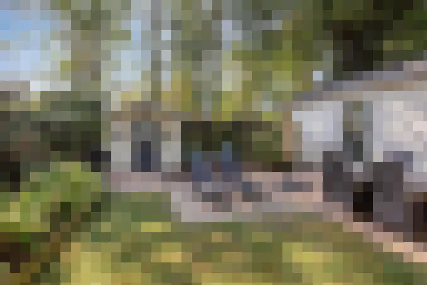Rivierendal 14 Ochten thumbnail 15