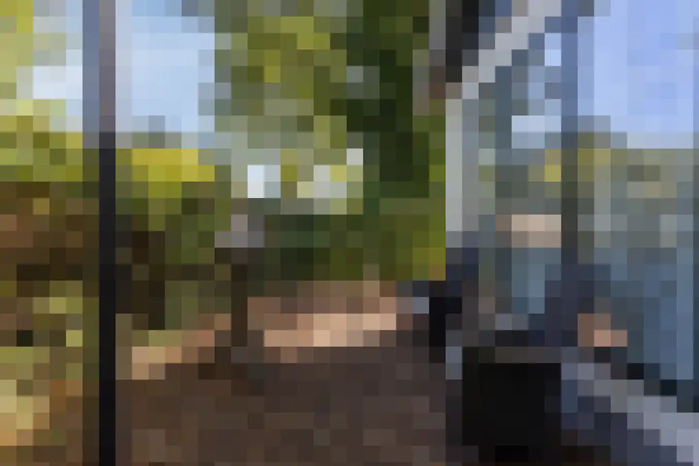 Rivierendal 14 Ochten thumbnail 16