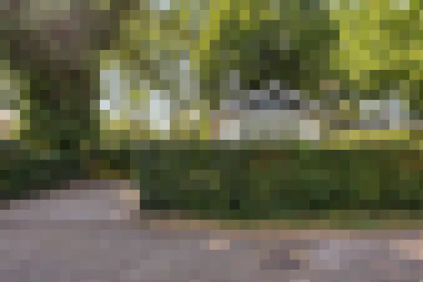 Rivierendal 14 Ochten thumbnail 18