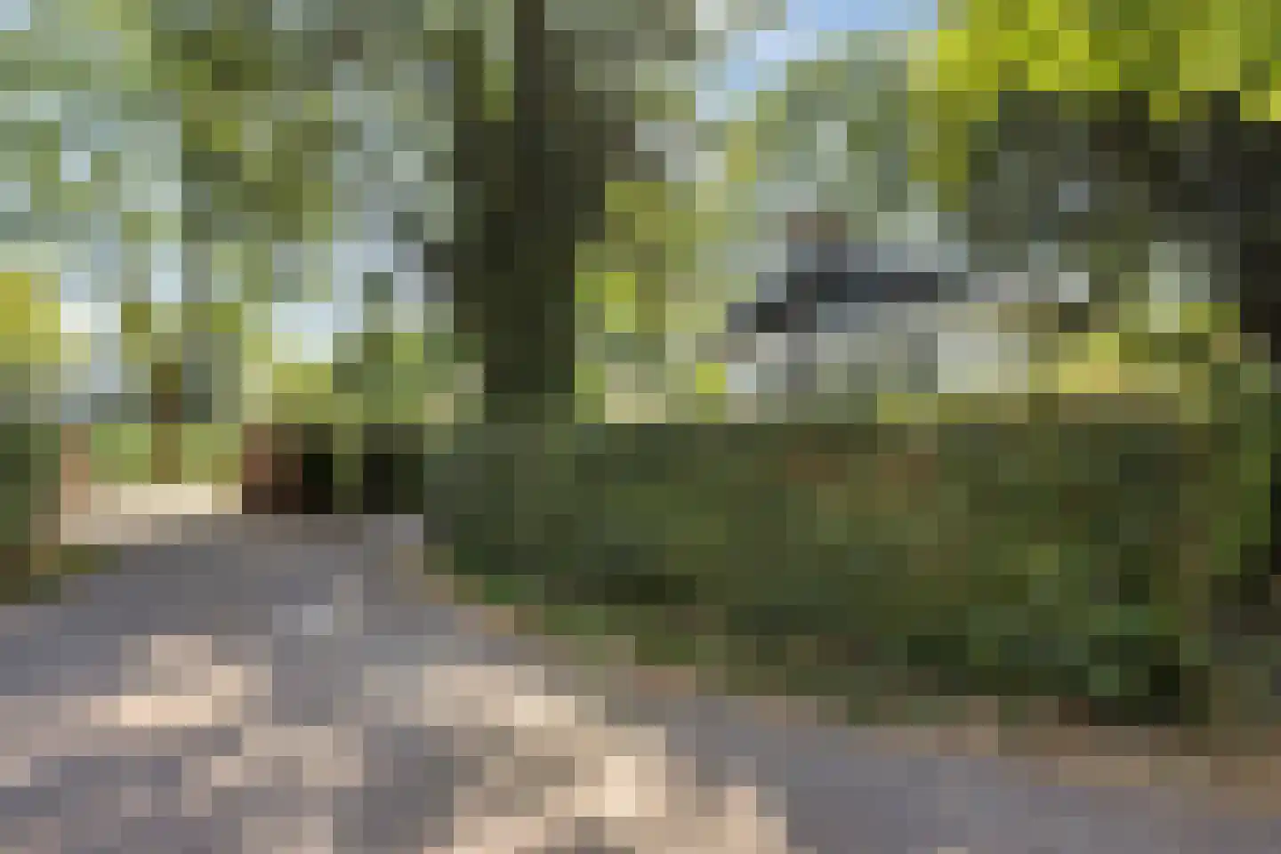 Rivierendal 14 Ochten thumbnail 19