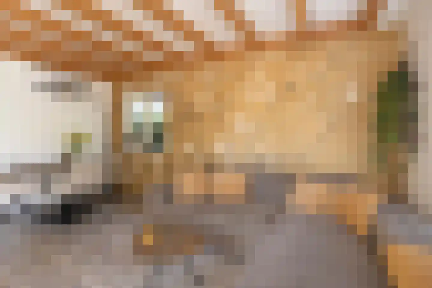 Rivierendal 14 Ochten thumbnail 4