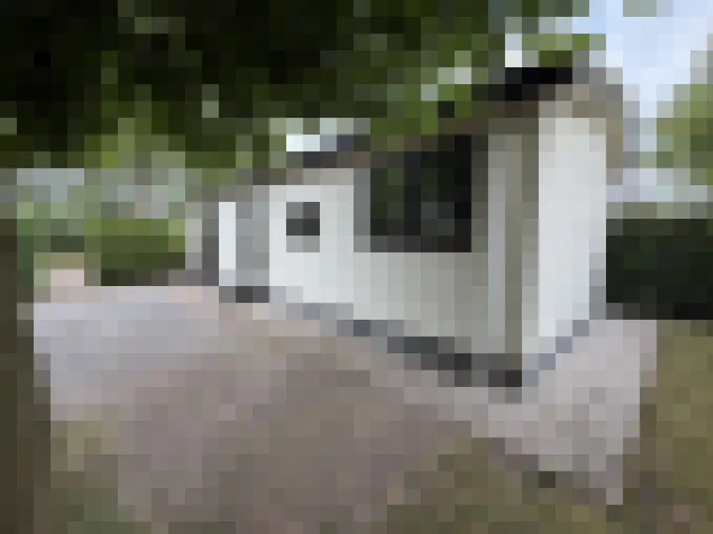 Rivierendal 17 Ochten thumbnail 18